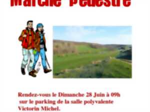 photo Marche pédestre