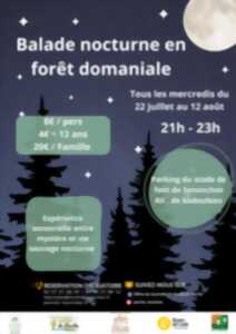 photo Balade nocturne en forêt domaniale de Senonches