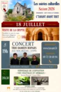 photo les Soirées Culturelles
