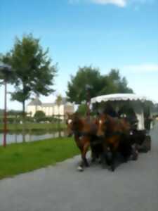 photo Les balades en calèche de l'été
