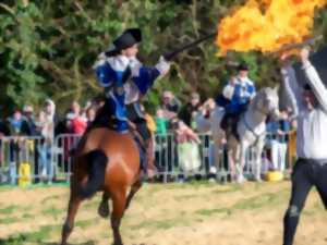 photo Spectacle équestre – Les Mousquetaires