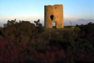 photo Randonnée : de la Réserve au Mont Doville