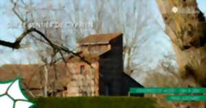 photo BALADE NATURE – SUR LE SENTIER DE CYPRIEN