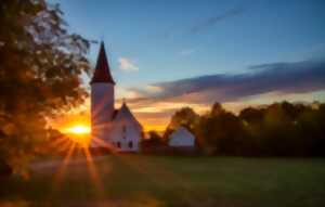 photo Théâtre plein air : L'incroyable aventure de Frida et Willy