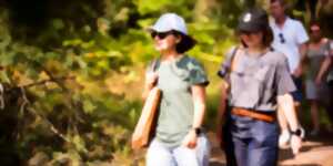 photo Au grès du jazz : Immersion forestière sur le sentier du Loosthal