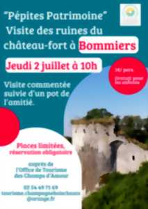 photo Visite des ruines du château-fort