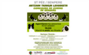 photo Concours de chiens de bergers