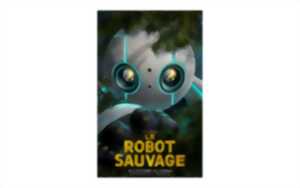 photo Un été au ciné - Le robot sauvage