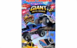 photo Giant auto rodeo