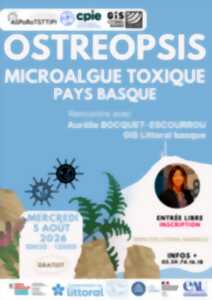 photo Ostréopsis : microalgue toxique en Pays Basque - Rencontre avec Aurélie Bocquet-Escourrou