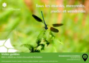 photo Partez à la découverte de la Réserve Naturelle du Courant d'Huchet