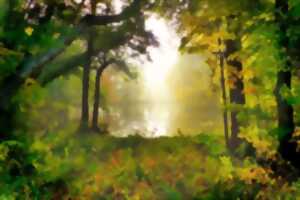 Café de l'Espace : Sortie Nature