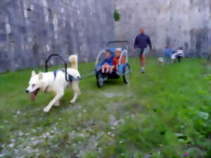 photo Cani rando et sulky familles