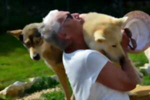 photo Visite de parc et immersion chiens de traineaux