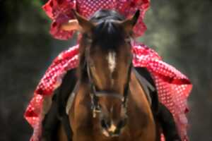photo Spectacles des vendredis - Bestia/Les bourgeaons - Cheval songeur
