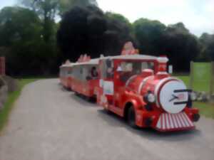 photo Visite en petit train - Biennale d'art contemporain