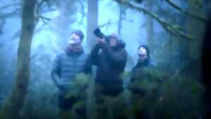 photo CINÉCO : LE CHANT DES FORÊTS