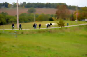 photo Sur les hauteurs de Saint-Robert