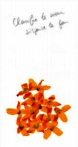 photo Exposition DE Socheata CANTO-AING, CLARIFIE LE COEUR DISPERSE LE FEU