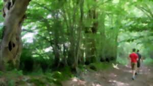 photo Balade contée crépusculaire au Temple