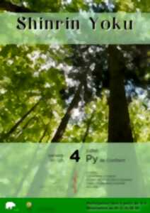 photo SHINRIN YOKU : BAIN DE FORÊT A PY