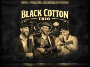 photo Concert : Black Cotton