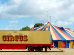 photo Cirque Calypso