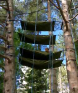 photo Les Estivales de Scie - Bivouac dans les arbres et nuitée en hamac