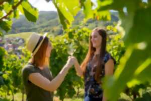 photo Rencontre avec le vigneron - Beblenheim
