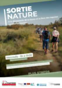 photo LA DOMITIENNE BALADES EN NATURE