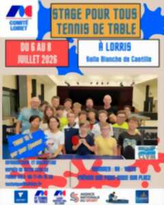 photo Stage de tennis de table