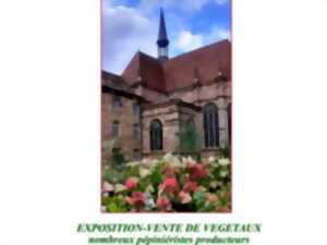 photo Plantes en fête à l'Abbaye d'Autrey