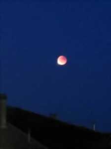 photo Randonnée de Pleine Lune, dite 'des fraises'