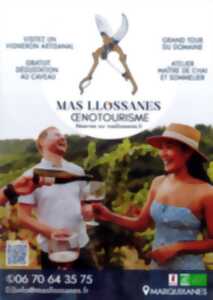 photo MAS LLOSSANES : GRAND TOUR DU DOMAINE
