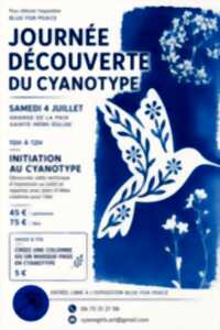 photo Atelier découverte du cyanotype