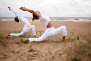 photo Atelier de yoga