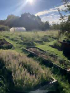 photo ATELIER PLANTES SAUVAGES COMESTIBLES