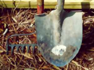 photo Chantier nature participatif