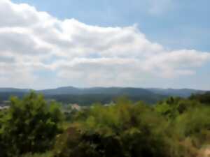 photo Découvrir la colline du Schiebenberg et la tuilerie Sonntag à Still