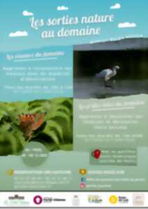 photo Sortie nature en famille - Les p'tites bêtes du domaine