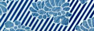 photo Ateliers adultes : Cyanotype etkatagami, du pochoir à la photographie