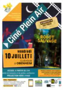 photo Ciné plein air - Le robot sauvage