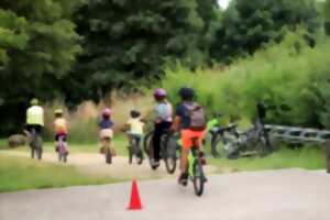 photo Les Estivales de Scie - Cyclo-ciné