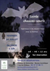 photo Soirée Chauves-souris