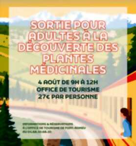 photo SORTIE POUR ADULTES À LA DÉCOUVERTE DES PLANTES MÉDICINALES - 4 AOÛT