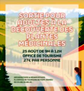 photo SORTIE POUR ADULTES À LA DÉCOUVERTE DES PLANTES MÉDICINALES - 25 AOÛT