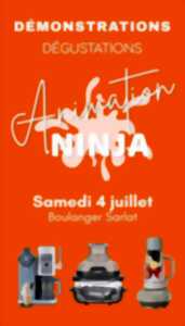photo Boulanger : Opération Ninja