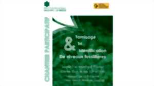 photo Chantier Participatif : Tamisage, tri et identification de fossiles