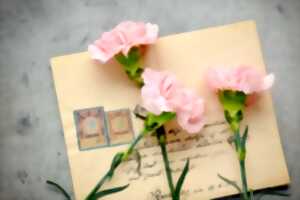 photo Appel d’art postal : “Voyage avec les livres”