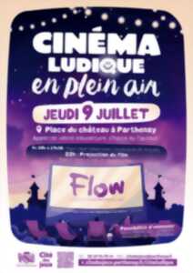 photo Cinéma ludique en plein air